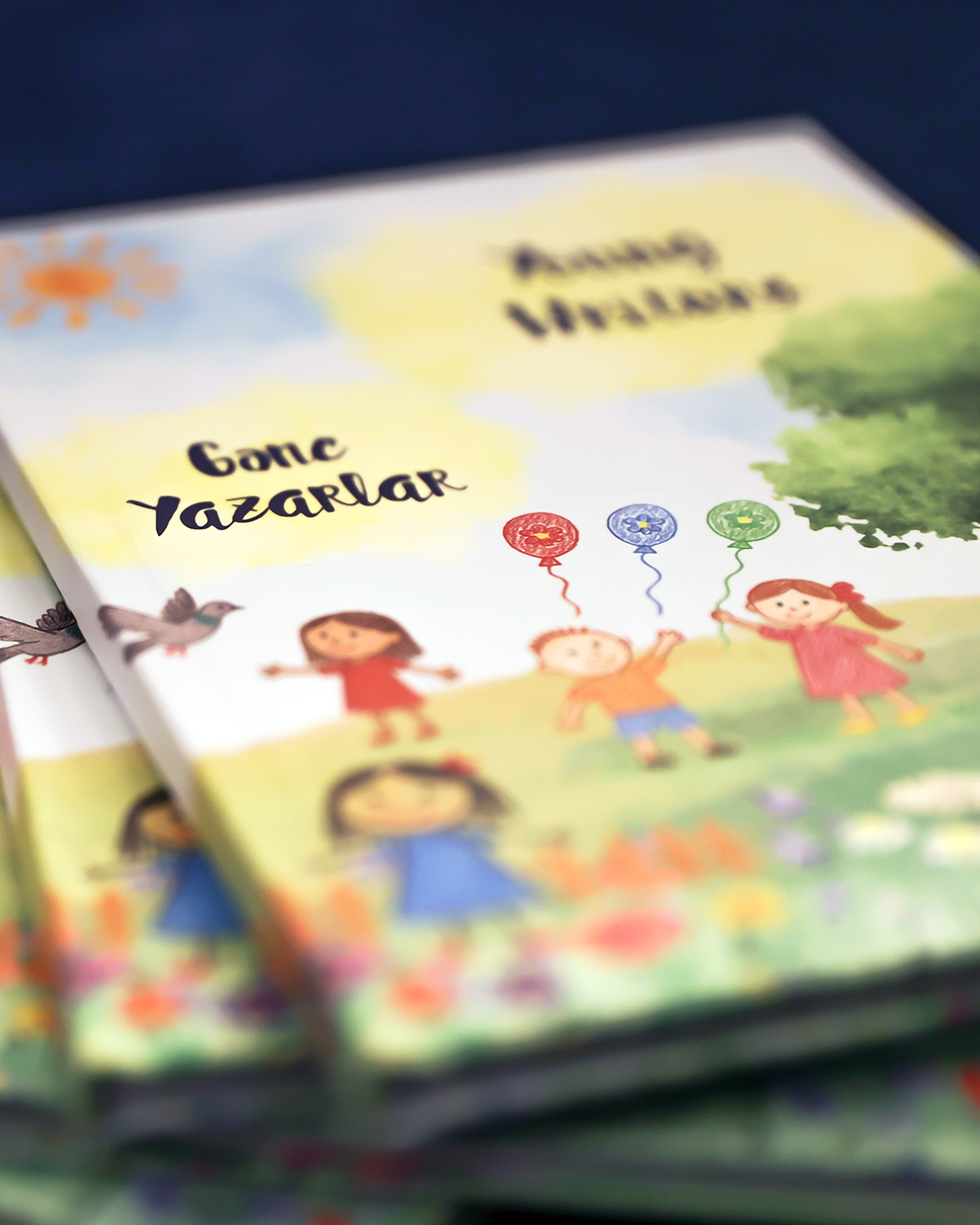 Young Writers Book Presentation